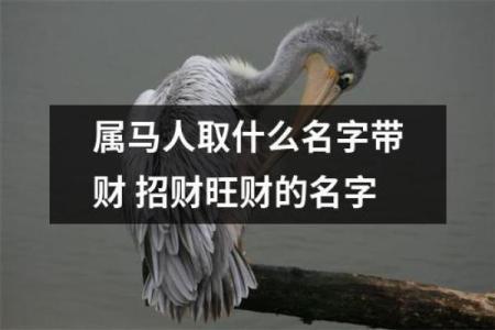 如何给六月份出生的属马的男宝宝取名字姓名