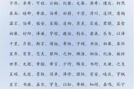 2019年4月6号子时出生的男孩要怎么起名字姓名