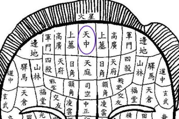 风水上眉毛中间长痣代表什么意思