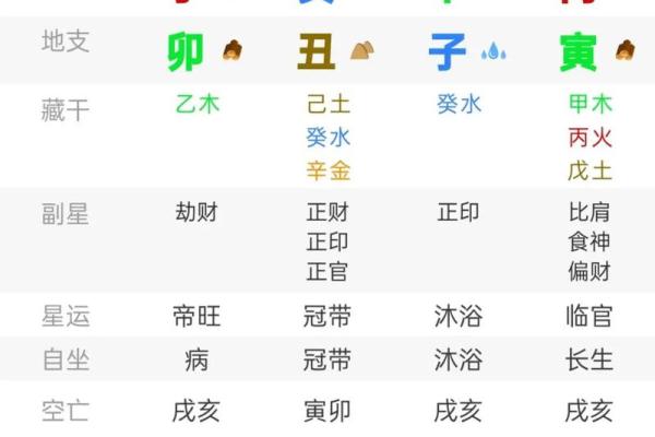 八字日柱壬子的命理详批