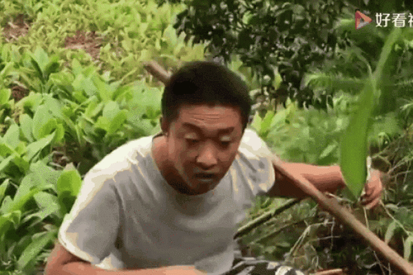 乞丐算命笑到抽筋太有才了