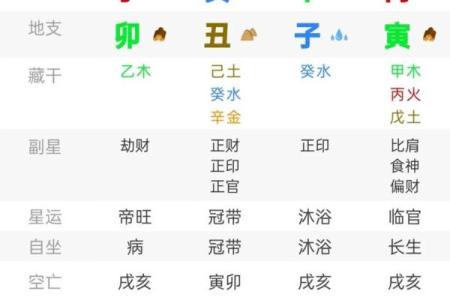 八字日柱壬子的命理详批