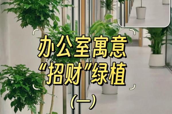 办公室风水摆设与布局提升财运小知识