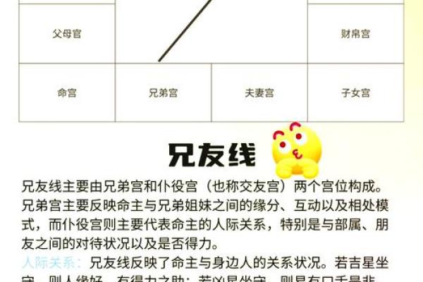 紫薇斗数命宫怎么确定