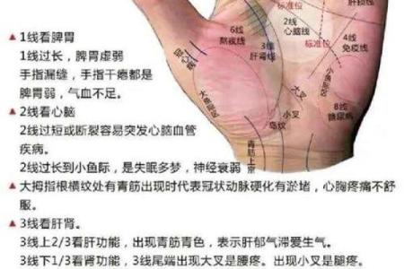 手线算命