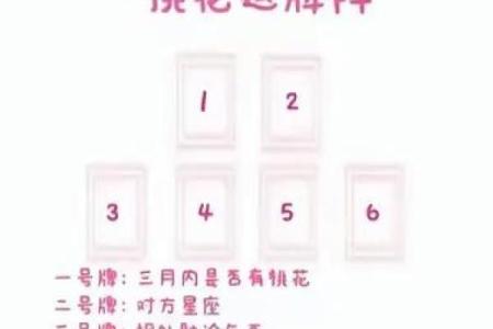 塔罗测试：十二月学习运？