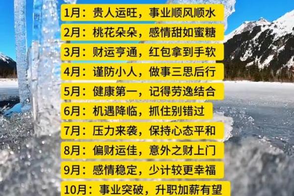 猴年八字 猴年八字