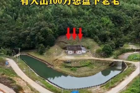 房子周围种菜有风水讲究吗