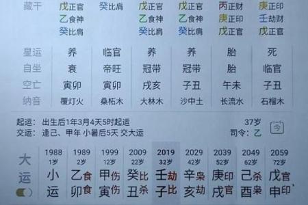 命格八字过旺什么意思