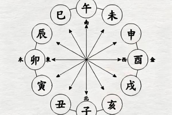 八字解析之-----地支三合三会 八字解析之-----地支三合三会