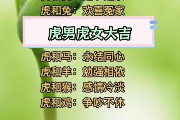 属鼠和属虎的八字合不合得来,属虎的跟属鼠的合财吗 属鼠和属虎的八字合不合得来,属虎的跟属鼠的合财吗