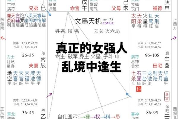 了无居士紫薇斗数 了无居士紫薇斗数