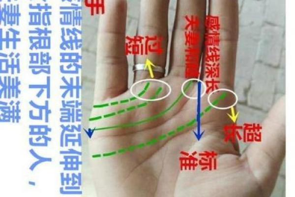 看男人手相算命图解 中指长的会富贵 看男人手相算命图解 中指长的会富贵