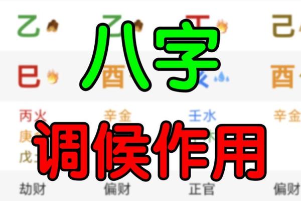 调候八字 调候八字