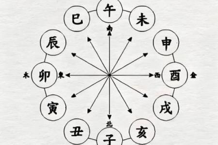 八字解析之-----地支三合三会