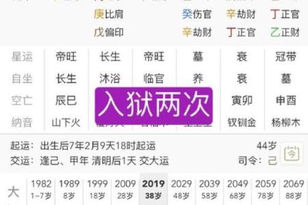 《甲木亥月性格解析及命运分析,详细揭秘八字特点》