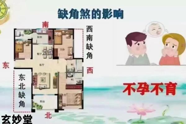 风水的影响_邻居家的房子前边比我家的长1米