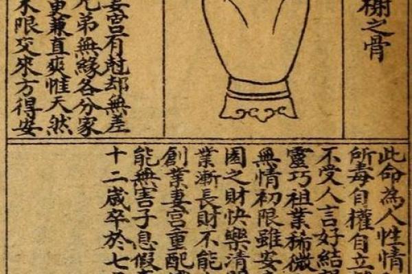 白鹤仙师60条灵签 白鹤仙师60条灵签