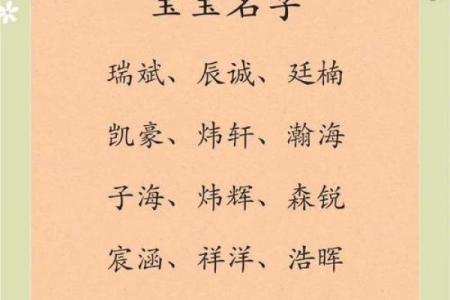 2019年6月30号寅时出生的男孩如何起名姓名