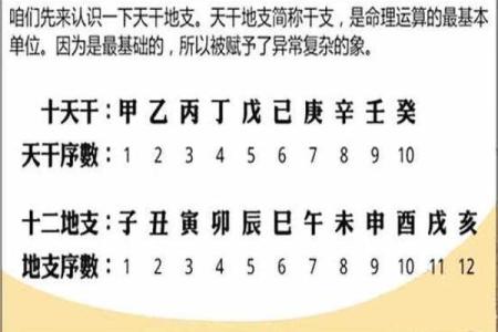八字小组