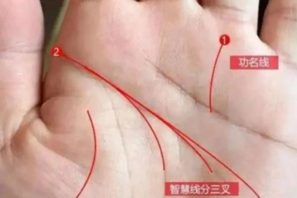 怎样看手纹给自己算命女 手相看你的性格特征