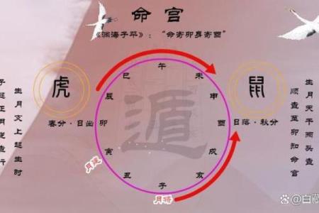 八字怎么排盘