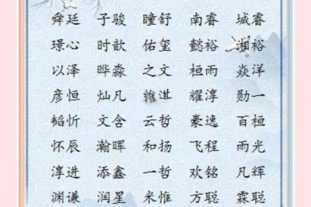下午2点出生的属虎男孩起什么名,宜用什么字姓名