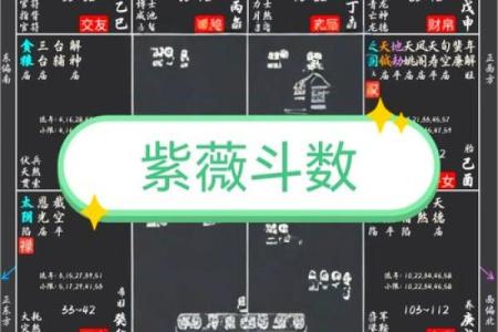 用紫薇斗数怎么判断配偶的个性和身体健康状况？