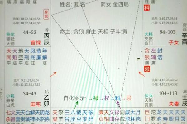 紫微斗数紫薇天府入命宫 紫微斗数紫薇天府入命宫