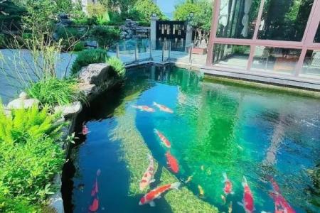 商业风水:公司水池的设计风水