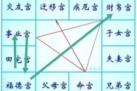 【紫微斗数】排盘技巧016:特殊格局的分析