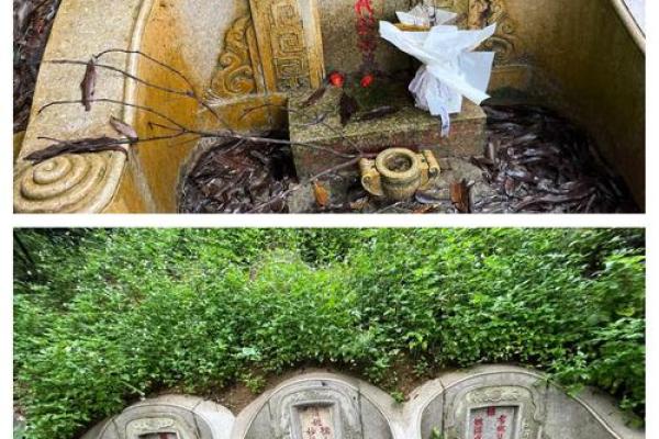 先人的影响,可当官的祖坟风水 先人的影响,可当官的祖坟风水