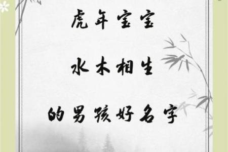 2019年6月20号寅时出生的男孩如何起名姓名