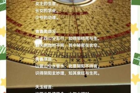 用风水如何调和女命伤官见官的影响