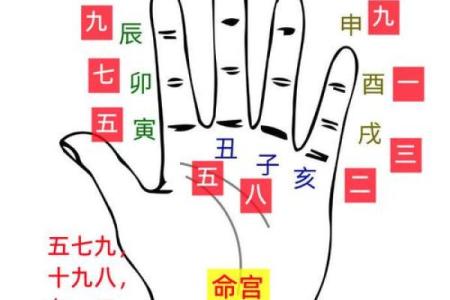 在哪儿学八字吉凶最准呢