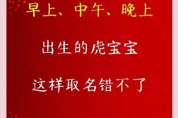 12月份出生的属虎男孩如何取名字姓名 12月份出生的属虎男孩如何取名字姓名