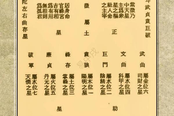 年紫薇星盘查询