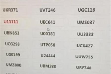 车牌吉凶查询打分测试免费 尾数为9的车牌号好不好