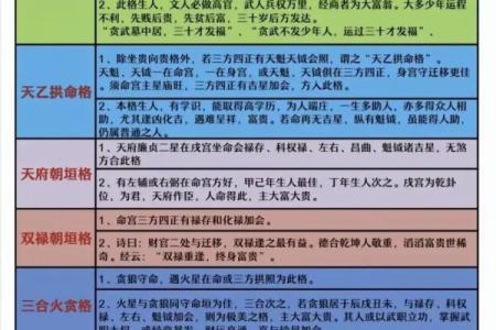 紫薇斗数富豪命