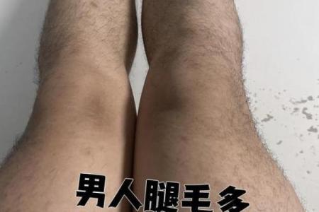 腿上有毛算命