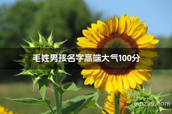 毛姓男孩名字大全-毛姓男孩起名字大全-毛姓名字大全姓名