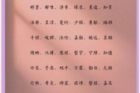 2019年6月25号子时出生的男孩起名方法姓名