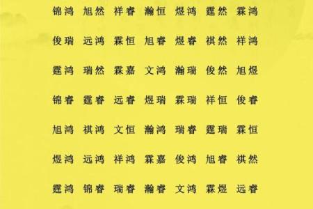 中午12点出生的属鸡男孩如何起名合适姓名