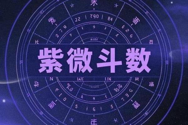 紫薇斗数星星得 紫薇斗数星星得