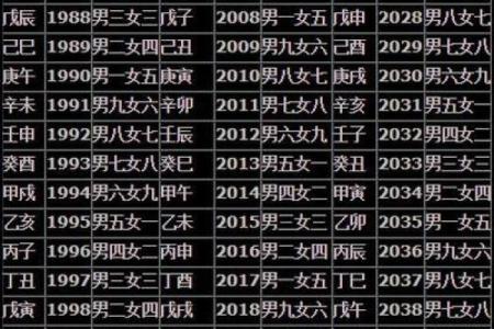 男女生辰八字合婚表格