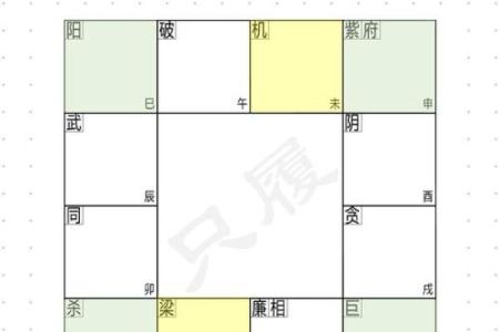 紫微斗数：天机星