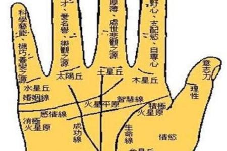 看手相算命图解：掌线