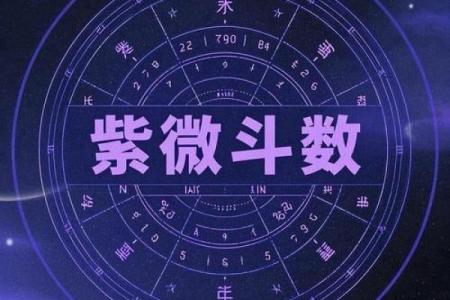 紫薇斗数星星得