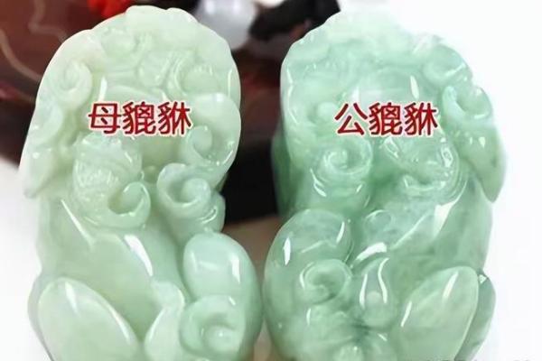 风水貔貅什么情况下反噬主人摆放不当