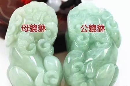 风水貔貅什么情况下反噬主人摆放不当